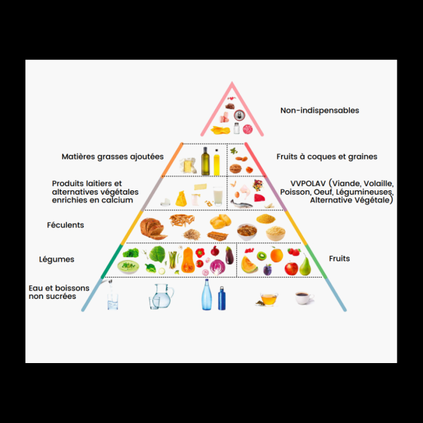 La pyramide alimentaire 