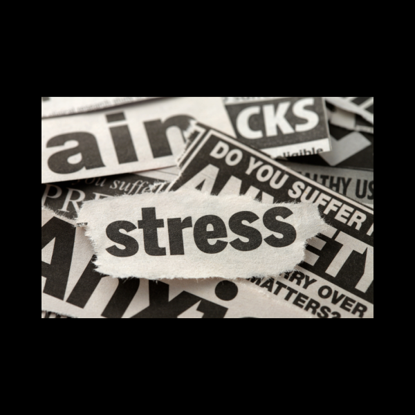 Coaching 100% personnalisé pour femmes actives dans le Grand Est : rapport entre stress & perte de poids